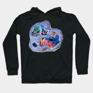 The Secret Lives of Geodes: The Diver Hoodie
